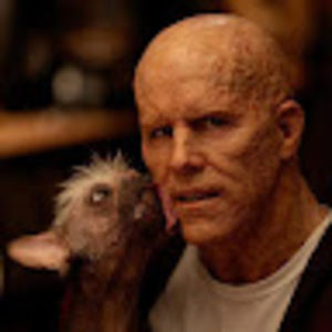 Meet your Posher, Roy